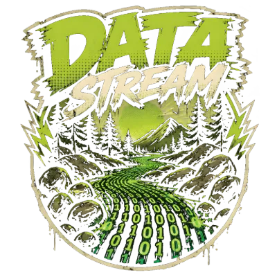 Data Stream Forest & Binary Code Design