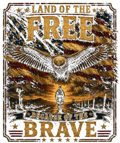 Land of the Free Because of the Brave Distressed Eagle Art