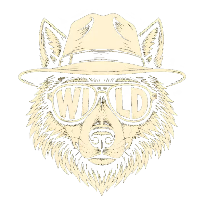 Stay Wild Wolf with Hat and Sunglasses Design