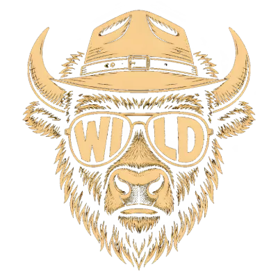 Wild Buffalo In Sunglasses Cowboy Hat