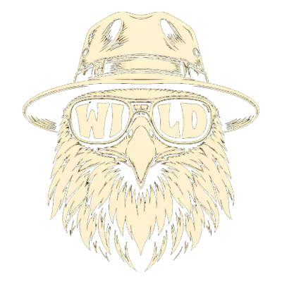 Wild Eagle Aviator Hat Sunglasses Graphic